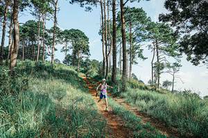 BIB: 
                            <button type="button" onclick="openModal(25672513)" class="btn btn-primary btn-sm float-right btn-popup" data-toggle="modal" data-target=".modal-high-quality">
                        <i class="fas fa-shopping-cart"></i> Add to Cart
                    </button>
                                            <button type="button" onclick="isThisMe(25672513, true)" class="btn btn-success btn-sm float-right btn-popup btn-isme hidden" data-toggle="tooltip" data-placement="bottom" title="นี่คือรูปของคุณใช่ไหม คลิกที่นี่เพื่อเอาเข้าอัลบั้ม">
                        <i class="fas fa-plus"></i> Add to album
                    </button>
                    <button type="button" onclick="isThisMe(25672513, false)" class="btn btn-warning btn-sm float-right btn-popup btn-isnotme hidden">
                        <i class="fas fa-ban"></i> Remove from album
                    </button>